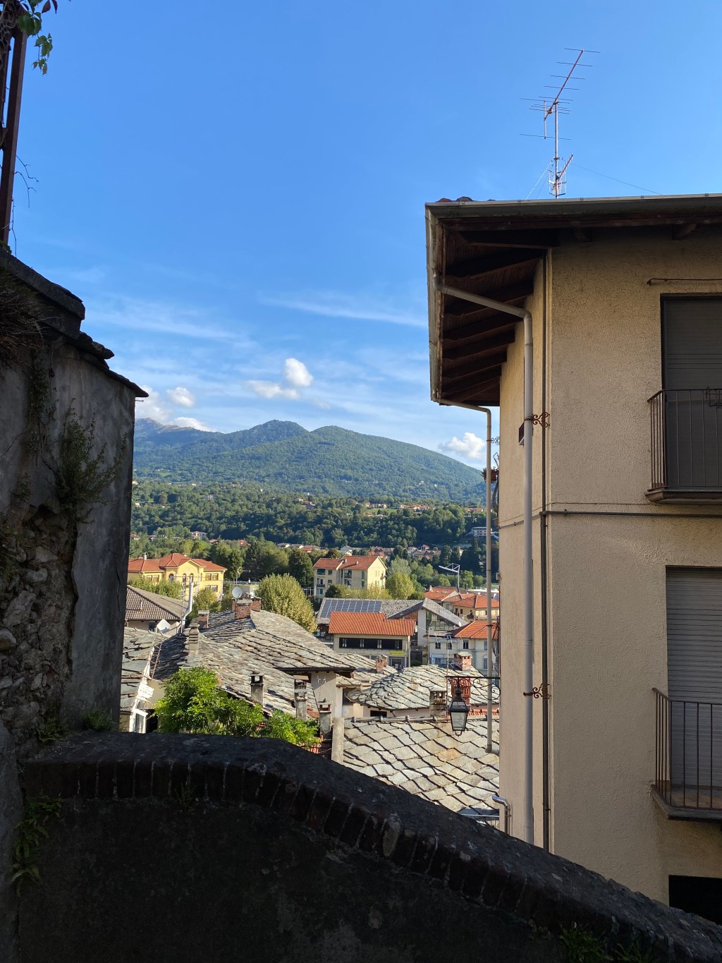 WWOOFing in Italy: 10 Tips for First-Time&nbsp;Volunteers